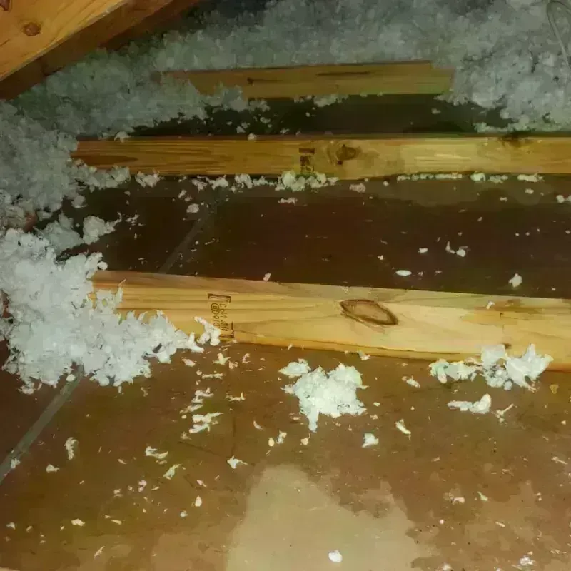 Attic Water Damage in Montgomery County, NC