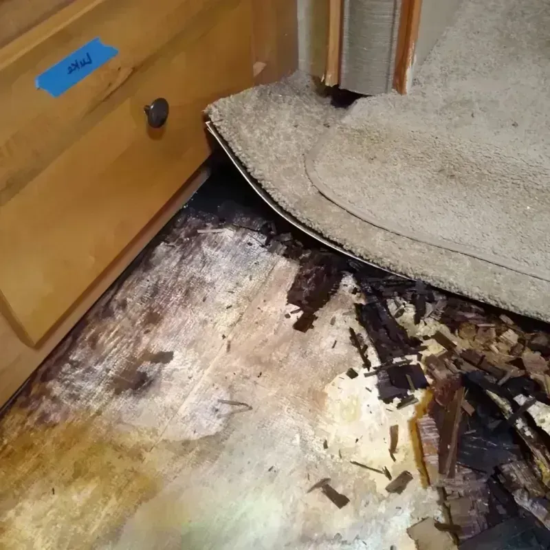 Best Wood Floor Water Damage Service in Montgomery County, NC